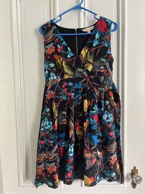 Yumi Tropical Birds Print Fit and Flare Dress Size 6